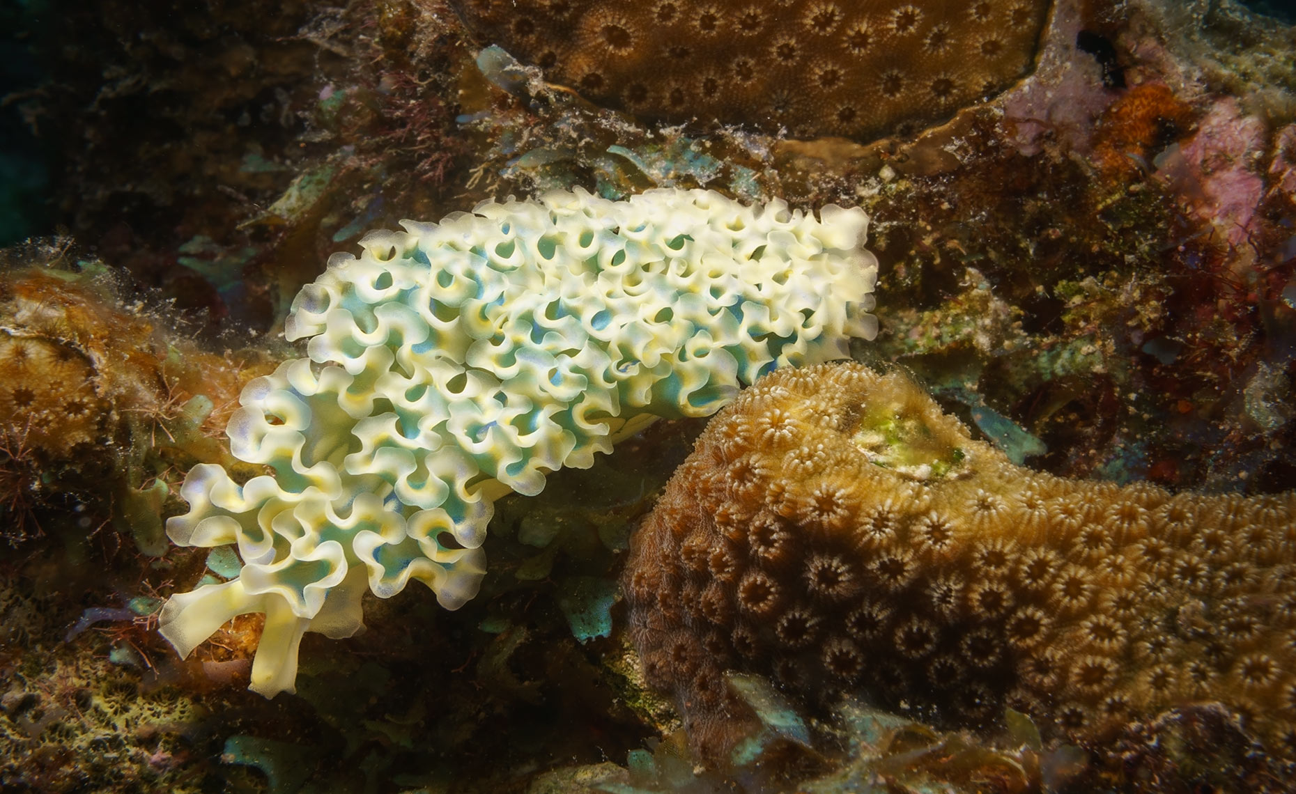 20151225_Bonaire_6160-Edit